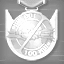 Icon for Ship Hunter Award