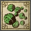 My Cabbages!!