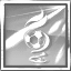 Icon for Won the International Cup