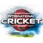 Int'l Cricket 2010