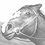 Icon for Horseman