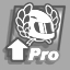 Icon for Professional