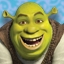 Shrek-n-Roll™