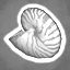 Icon for Seven Nautilus Shells