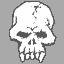 Icon for Cracked skull