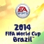 2014 FIFA World Cup™