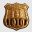 Bronze Detective Badge
