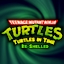 Turtles In Time RS
