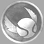 Icon for Quidditch Beginner