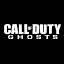 Call of DutyÂ®: Ghosts