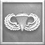 Icon for MP - Paratrooper's Badge